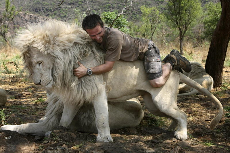 The Lion Whisperer, lion whisperer, kevin richardson, animal behaviourist, zoologist, lions, HD wallpaper