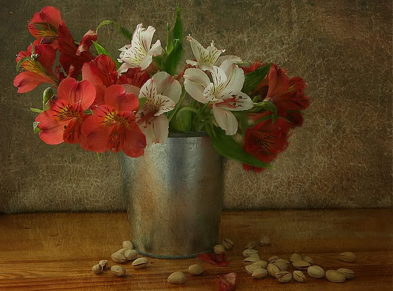 Beautiful Flowers, flower, red, white, pistachio, HD wallpaper