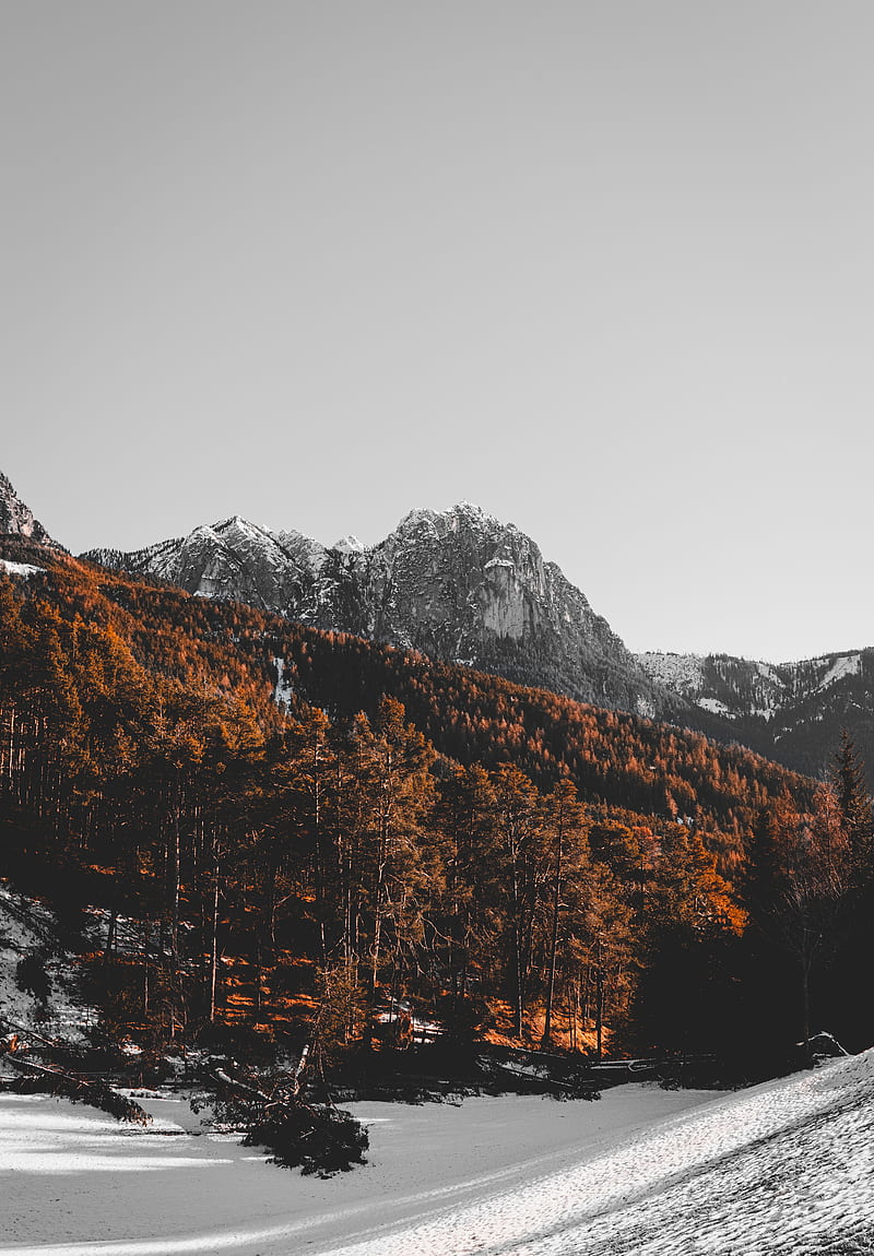 mountain, peak, trees, snow, landscape, HD phone wallpaper
