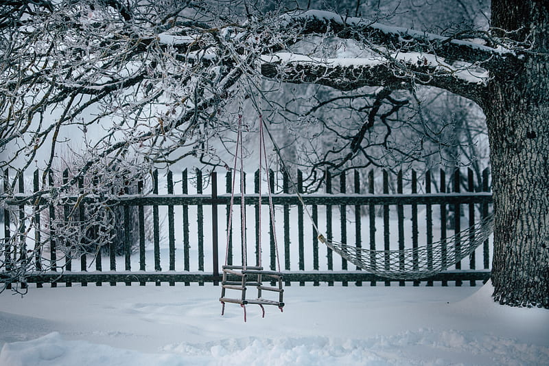 winter, swing, snow, tree, branches, HD wallpaper