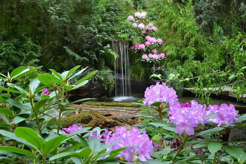 Spring Waterfall~Butchart Gardens, Butchart Gardens, water, Canada, plants, flowers, waterfall, Spring, foliage, HD wallpaper