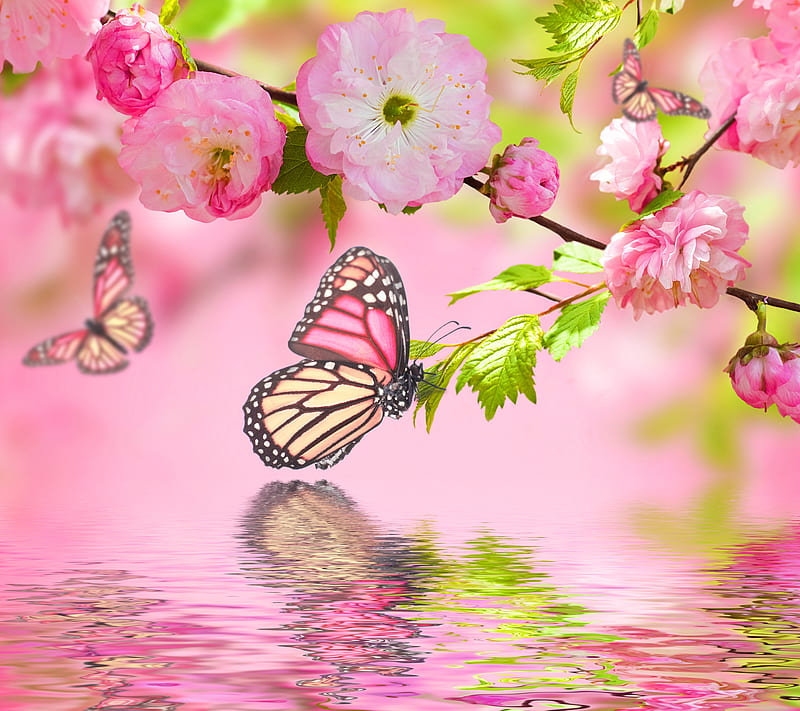 Cherry Blossom, art, bonito, butterflies, floral, water, HD wallpaper
