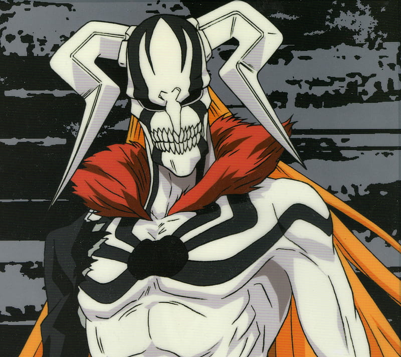 Ichigo Vasto Lorde, Bleach