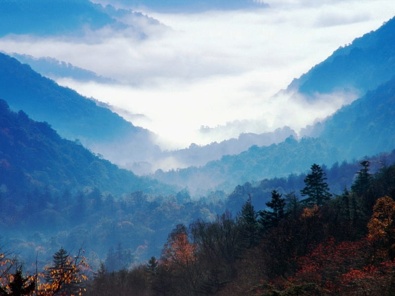 Foggy Morning - Great Smokey Mountains, great smokey mountains, tennessee, scenic, mountains, morning, fog, landscape, HD wallpaper