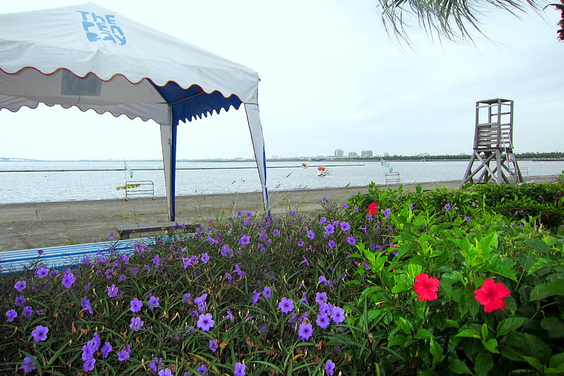 beach, flowers, pedalo, lifeguard observation deck, sea, HD wallpaper