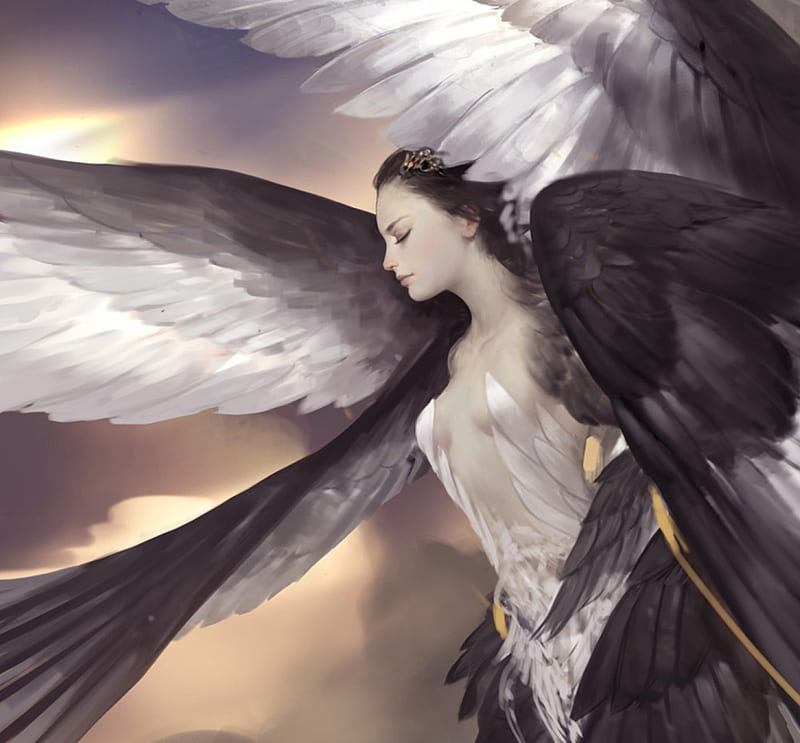 Beautiful Angel, praying, wings, profile, angel, black and white, bonito, HD wallpaper