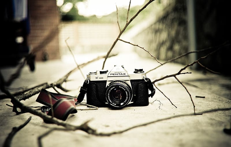 Best 500 Camera Photos HD  Download Free Images  Stock Photos On  Unsplash