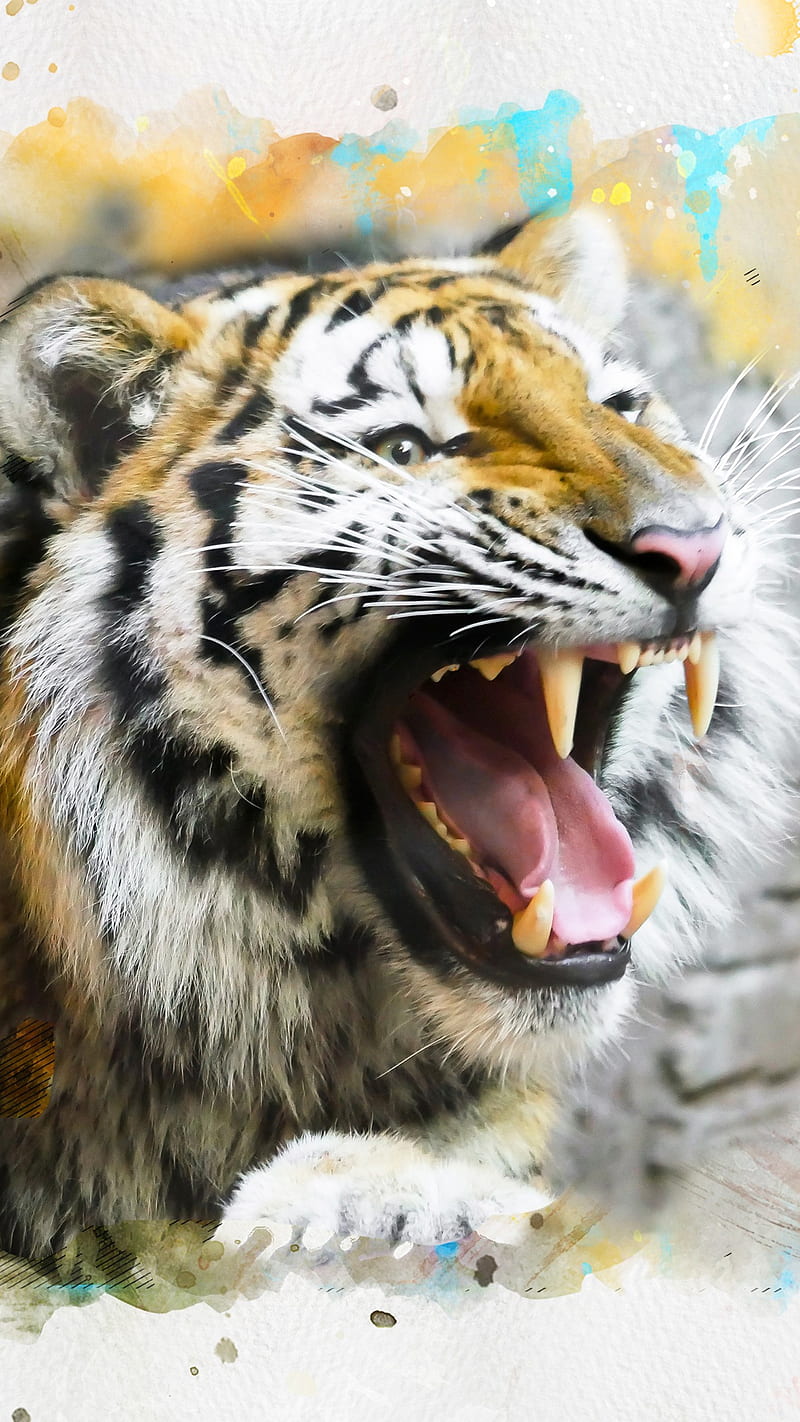 Tigers Roar, tiger, animal, lion, 3d, 2018, art, nature, nokia, oppo, mi, HD phone wallpaper
