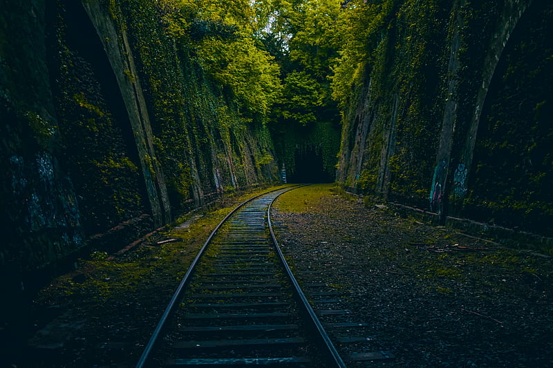 forest, railway, scenic, mood, path, trees, Nature, HD wallpaper