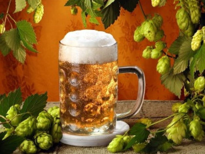*** Pint of Beer ***, alkohole, napoje, piwa, kufel, HD wallpaper