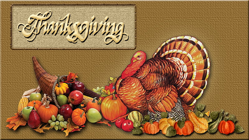Thanksgiving Cornucopia, Fruit, Squash, Thanksgiving, Cornucopia, Food, Turkey, HD wallpaper