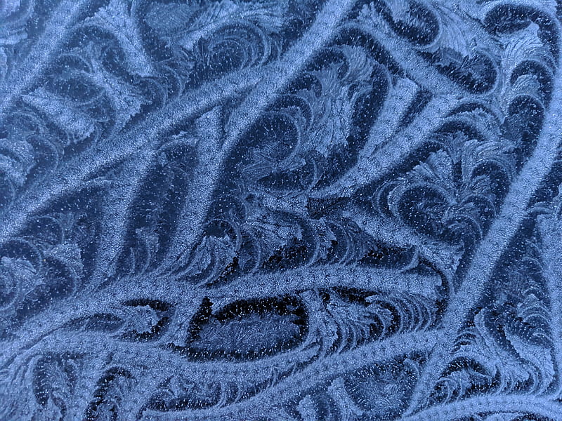 frost, pattern, glass, frozen, HD wallpaper