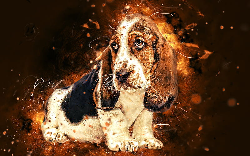 Basset Hound, puppy, brown neon lights, creative, cute animals, pets, Basset Hound dog, funny art, dogs, HD wallpaper