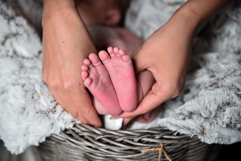 person holding baby's feet, HD wallpaper