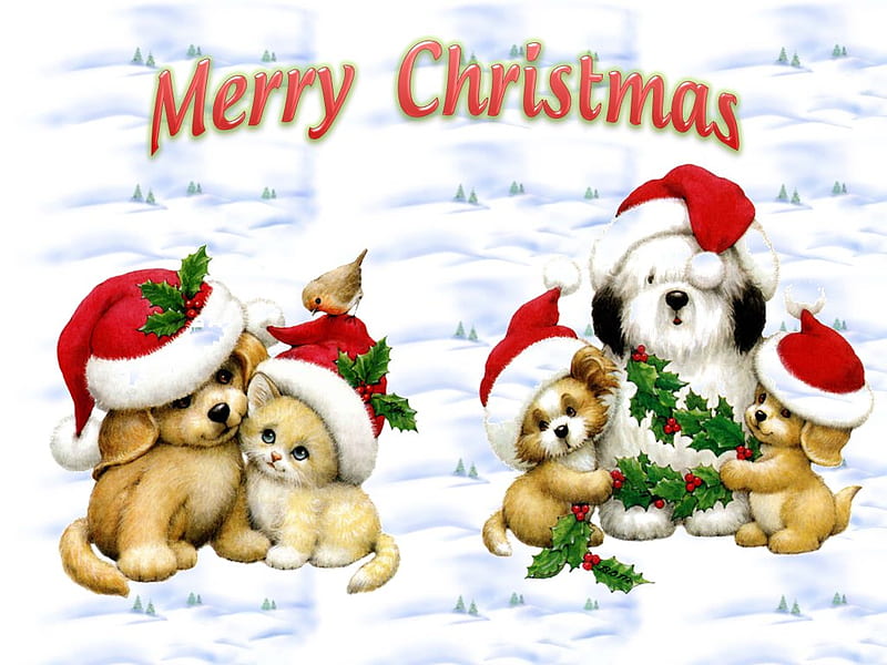 Sweet Christmas pets, christmas, snow, cat, morehead, kitten, puppy, dog, HD wallpaper