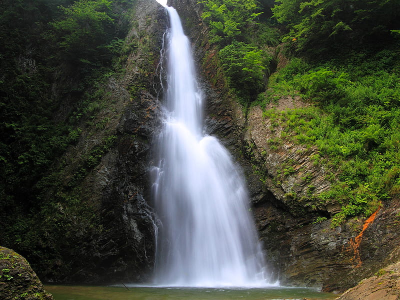 Waterfall Veil, forest, rocks, water, rainforest, cliff, cascade, white, shrubs, HD wallpaper