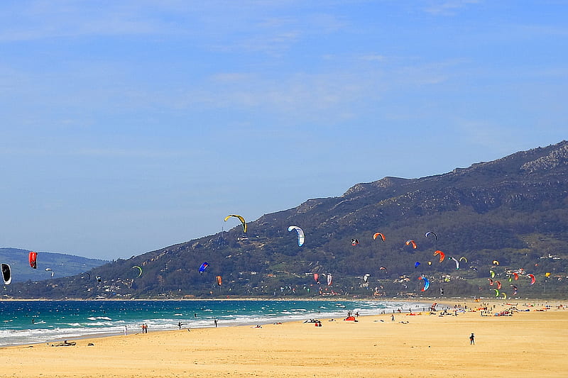 Kite Flying, beach, sand, kite, sky, HD wallpaper