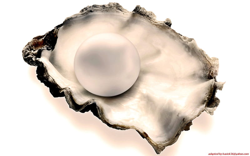 oyster pearl wallpapers