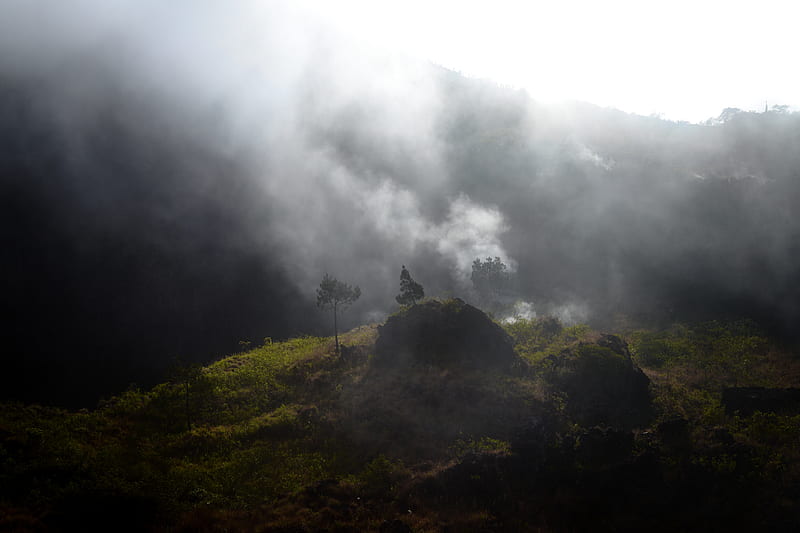 mountains, hills, fog, trees, nature, HD wallpaper