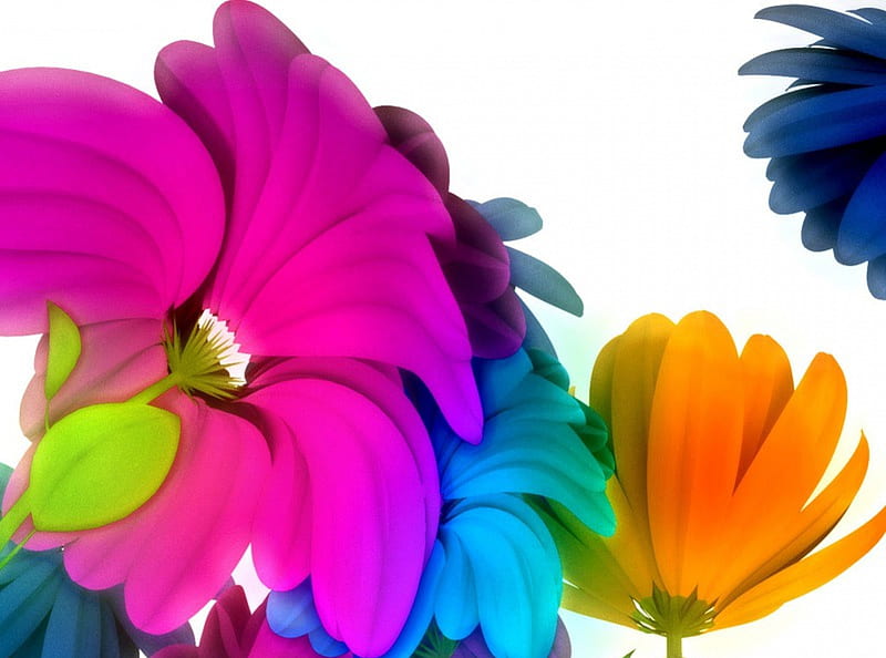 Music Flowers, vibrant colours, flowers, HD wallpaper | Peakpx