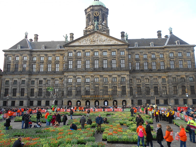 Royal Palace on National Tulip Day in Amsterdam, dam square, royal palace, amsterdam, tulip, HD wallpaper