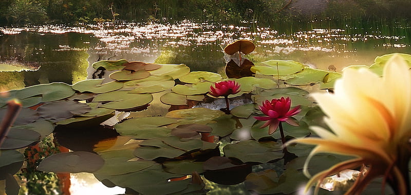 Lotuses, flower, hosne qanadelo, lake, art, red, kingdom of mulan, lotus, leaf, fantasy, water, green, HD wallpaper