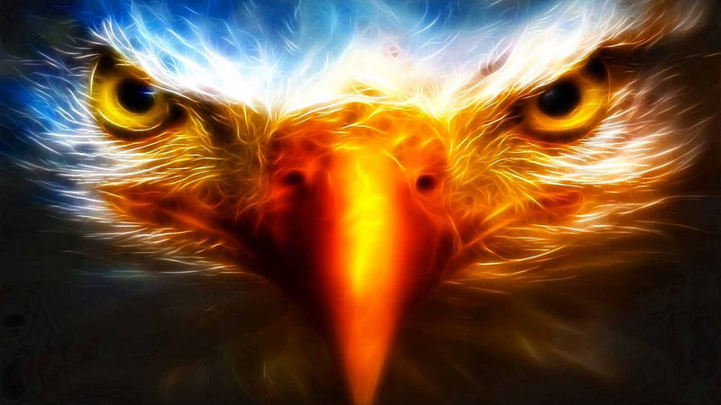 Ojos, águila, arte, 3d, Fondo de pantalla HD | Peakpx