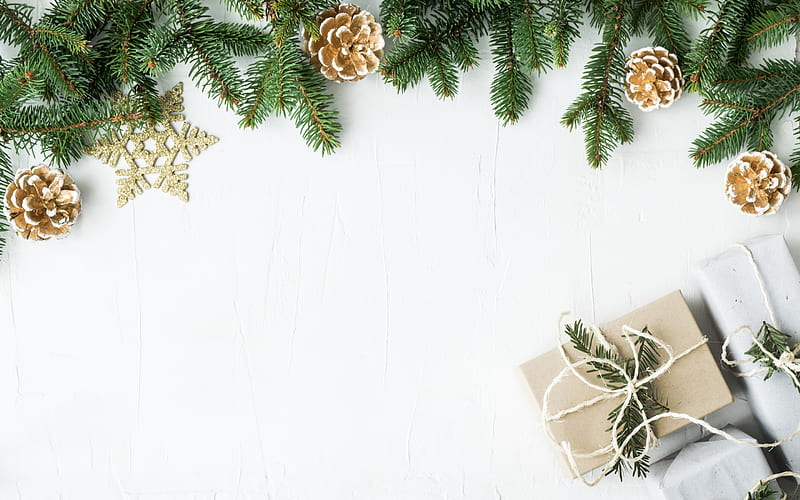 Christmas, white wooden background, Christmas tree branches, New Year