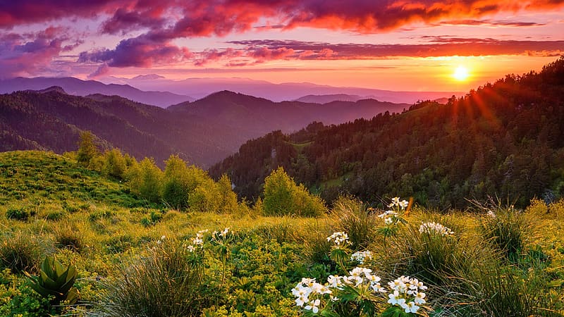 Mountain sunrise, meadow, sky, mountain, sunset, sunrise, fiery, slope, beautiful, wildflowers, valley, clouds, HD wallpaper