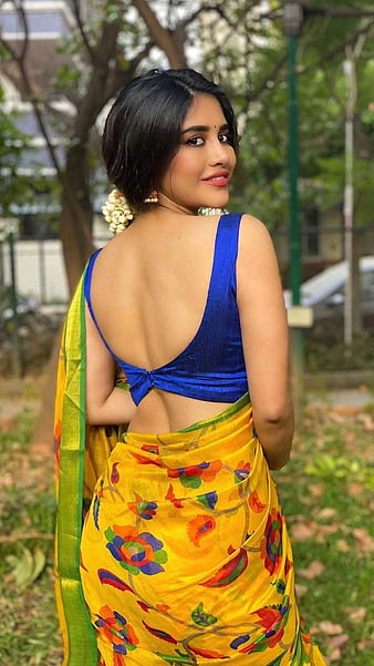 Nabha Natesh, actress, beautiful, beauty, south india, saree, bollywood, ,  elegant, HD phone wallpaper | Peakpx