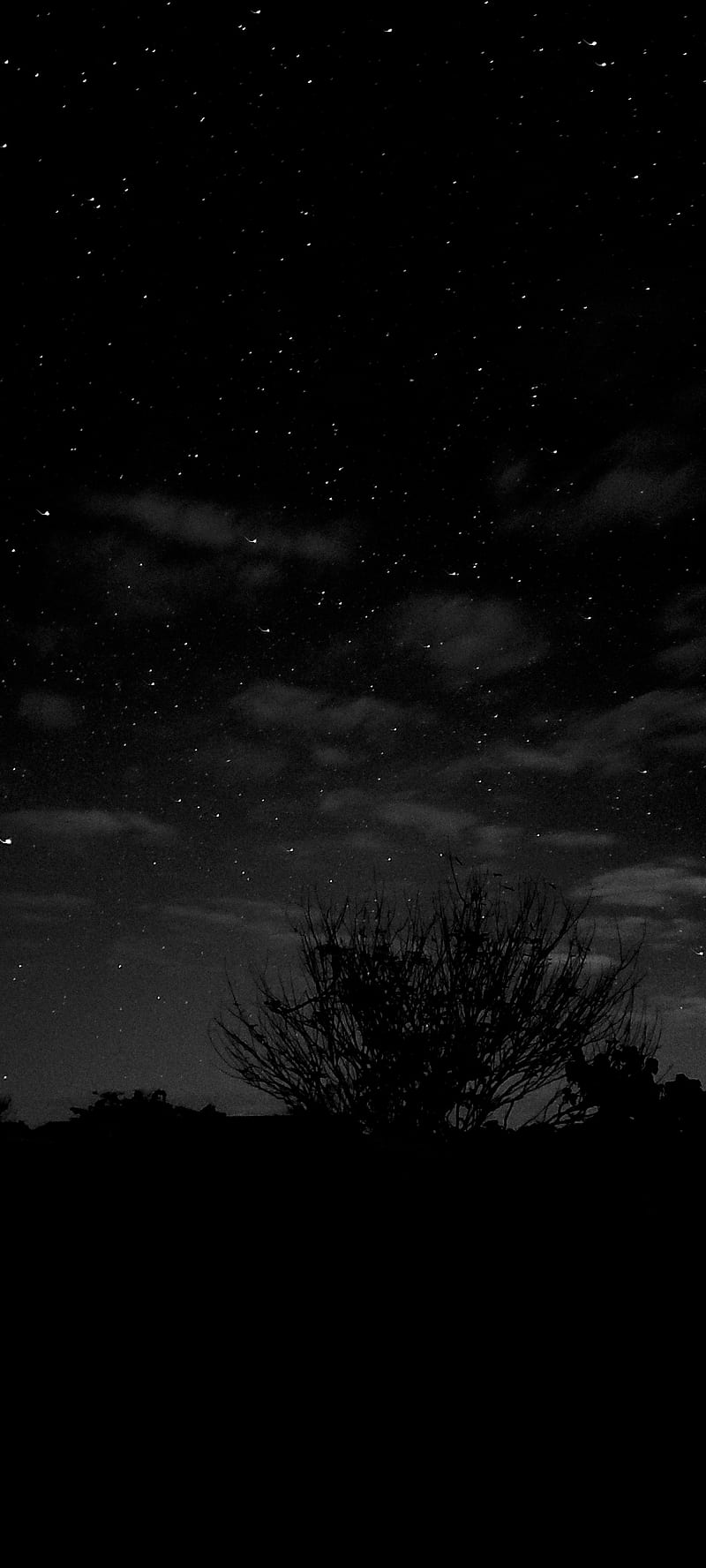 Noite Estrelada, atmosphere, galáxia, sky, nuvens, céu, estrelas, HD phone wallpaper