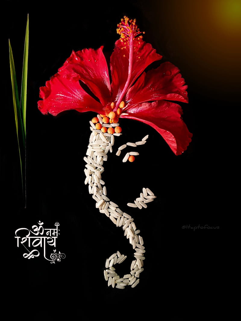 Lord Ganesha, flower, flowers, ganesh, HD phone wallpaper