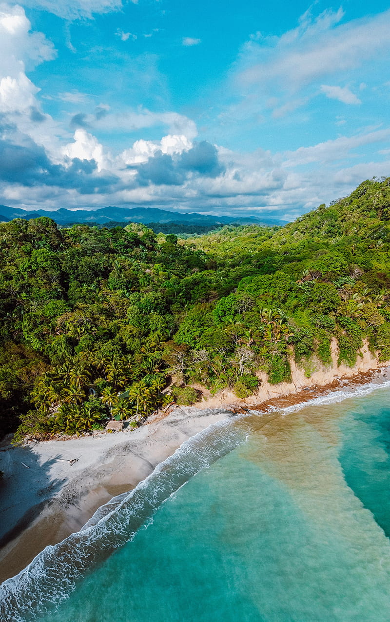 island, beach, sea, tropics, aerial view, HD phone wallpaper