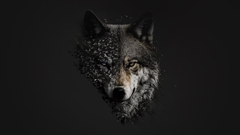 Wolf Minimal , wolf, minimalism, minimalist, artist, artwork, digital-art, dark, black, HD wallpaper