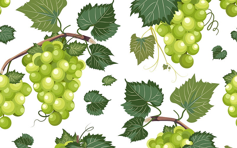 Texture, green, paper, white, leaf, pattern, autumn, struguri, toamna, fruit, grapes, HD wallpaper