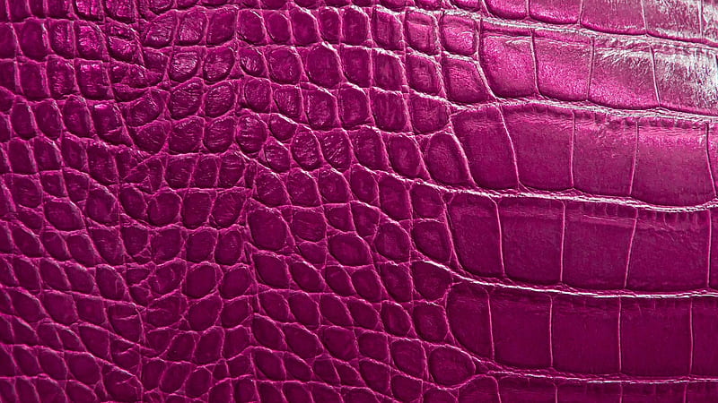Texture, pink, skin, leather, snake, HD wallpaper