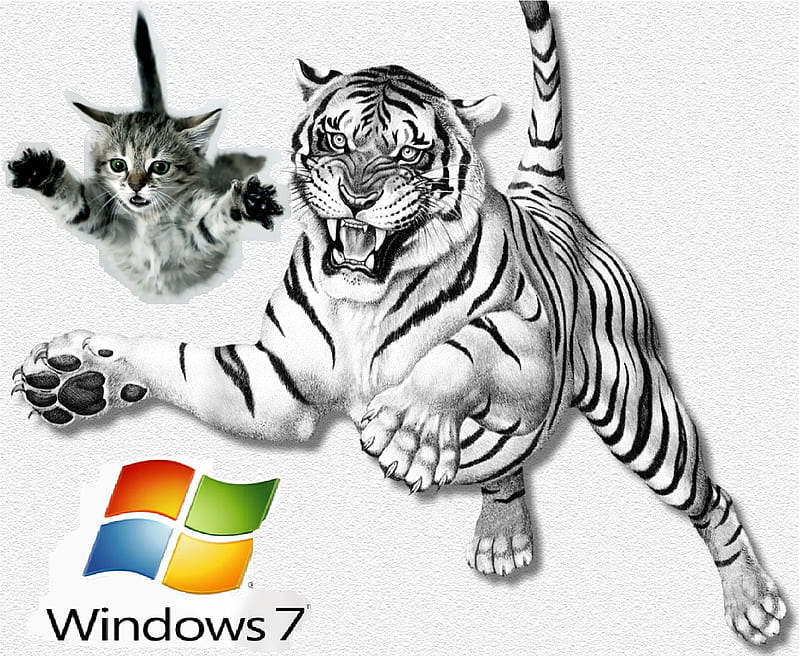 window 7 logo, logo, HD wallpaper