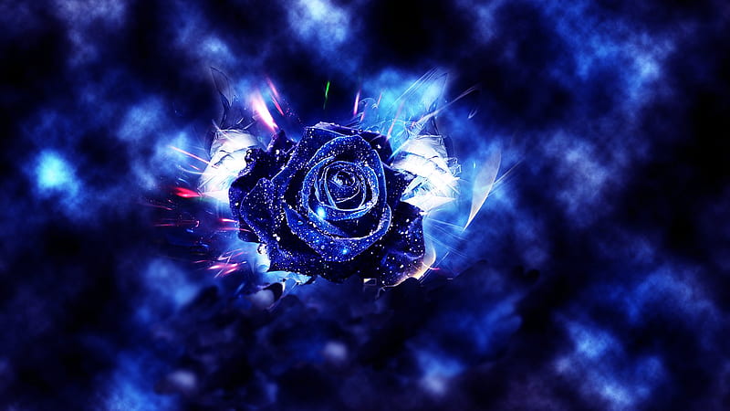Come From Behind These Clouds, rose, flower, phtography, flowers, nature, roses, blue, HD wallpaper