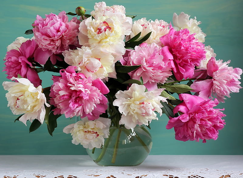 Man Made Flower Peony Pink Flower Vase White Flower Hd Wallpaper