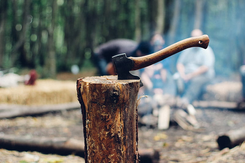 axe on tree log next to people sitting next to bonfire, HD wallpaper