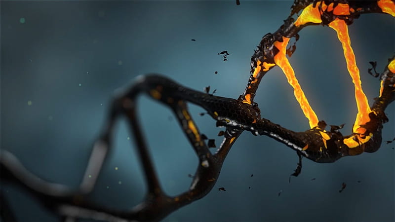 Video: Understanding the mystery of hidden or 'dark DNA' - Genetic Literacy Project, HD wallpaper