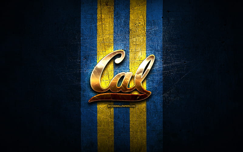 California Golden Bears, golden logo, NCAA, blue metal background, american football club, California Golden Bears logo, american football, USA, HD wallpaper