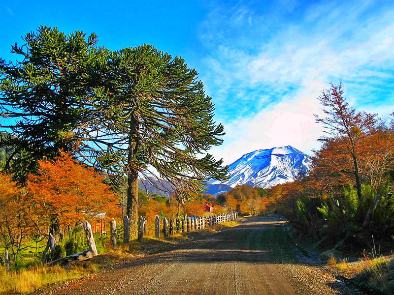 Road To Volcano Lonquimay, Chile, fence, autumn, grass, bonito, trees, sky, clouds, National Reserve, mountains, road, snowy peaks, HD wallpaper