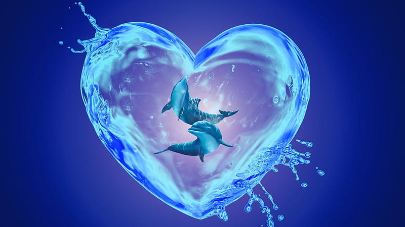 Delfin, Blau, Herz, Deutschland, HD wallpaper