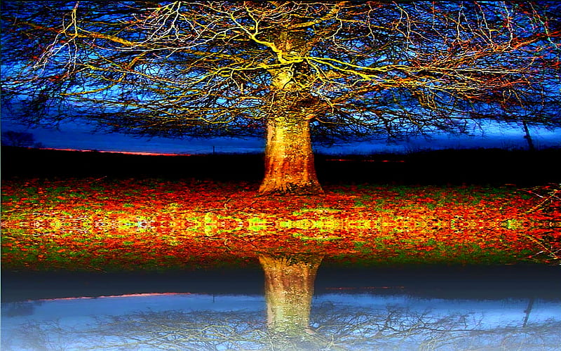 Magical Tree Of Prosperities, glow, nature, reflection, trees, sky, lake, blue, light, HD wallpaper