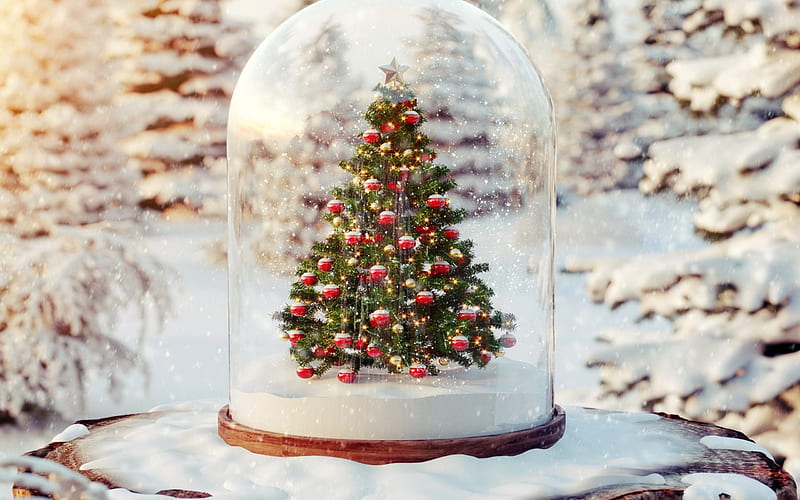 christmas tree, winter, x-mas, snow, New Year, Merry Christmas, HD wallpaper
