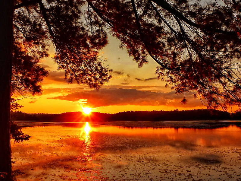 River sunset, red, pretty, glow, riverbank, shore, orange, shine, bonito, sunset, mirrored, sundown, nice, sunrise, reflection, light, lovely, trees, lake, waters, rays, summer, nature, branches, HD wallpaper