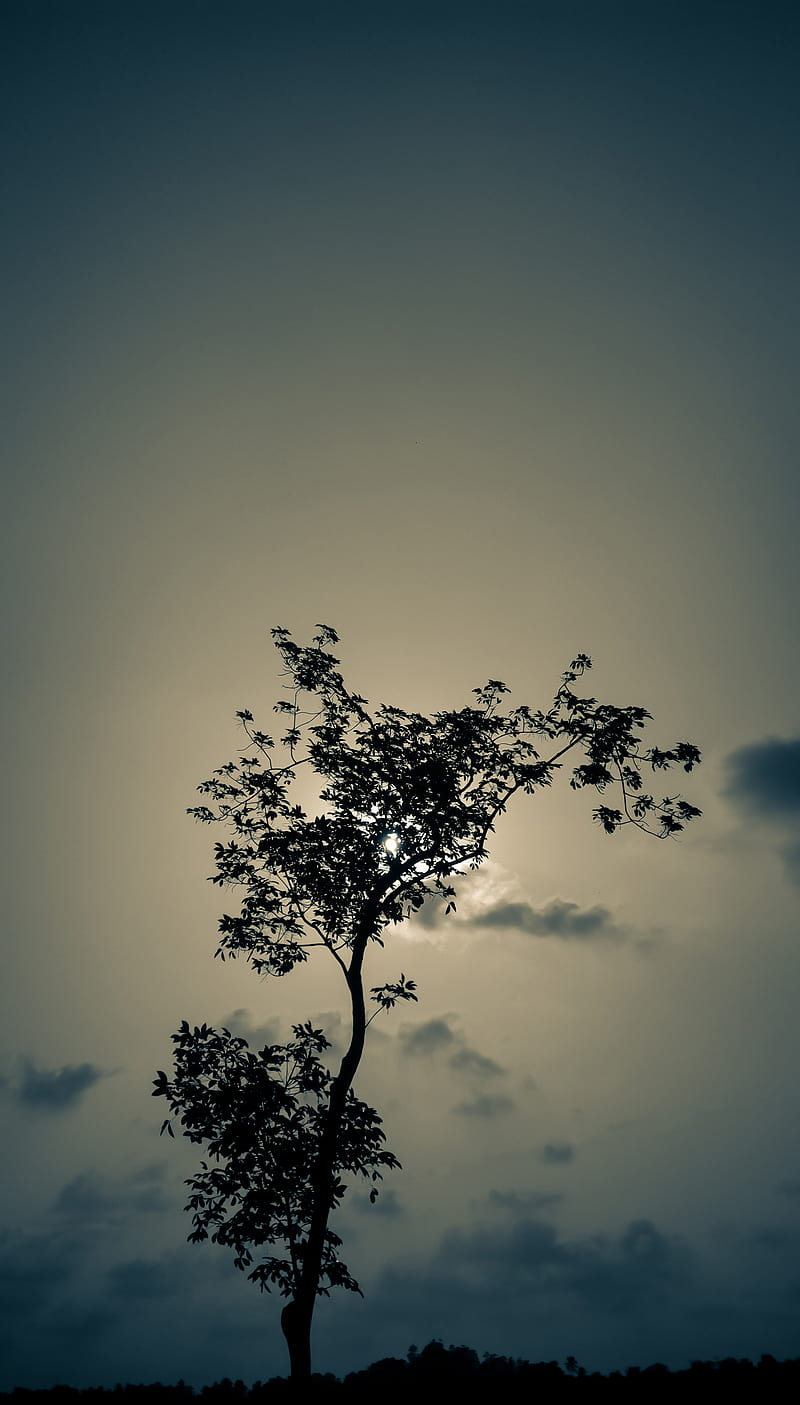 Moon Tree, alone, dark, featured, dom, good, life, nature, night, HD phone wallpaper