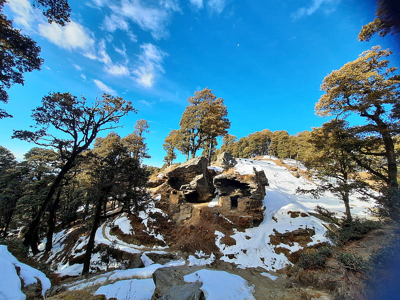 Snow, beauty, clouds, himachal, manali, mountains, shimla, travel, trees, trekk, HD wallpaper