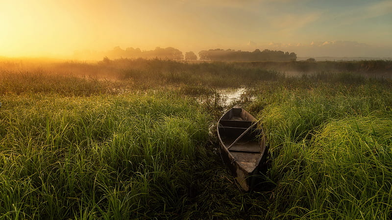 Boat On Lake Swamp Green Grass Field With Fog Under Blue Sky Nature, HD wallpaper
